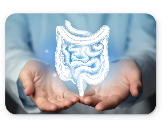 Darmkrebsvorsorge zwei ausgestreckte Hände halten gezeichneten Darm 